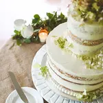 Do you have wedding cake questions or concerns? Ask me I'll do my best to answer them