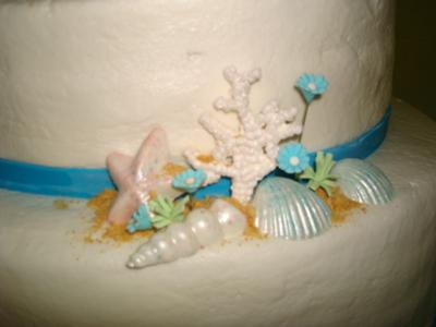 White Chocolate Seashells