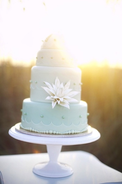 Sea Shell Wedding  Cakes  Are A Perfect Fit For A Beach  