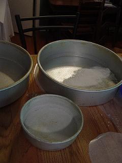 Waiting to be filled with yummy carrot cake batter!