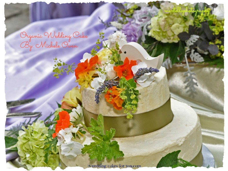 wedding cake contest and