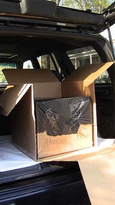 Boxed cake within a box