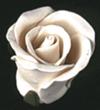 Gumpaste Rose