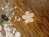 Fondant Daisy!