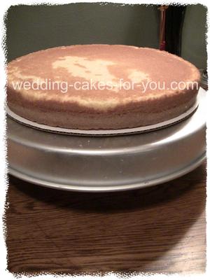 Differences Between A Cake And A Sponge Differences Between A Cake And A Sponge